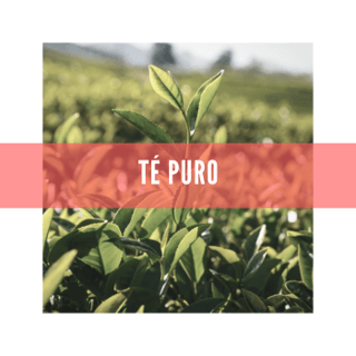 Té Puro