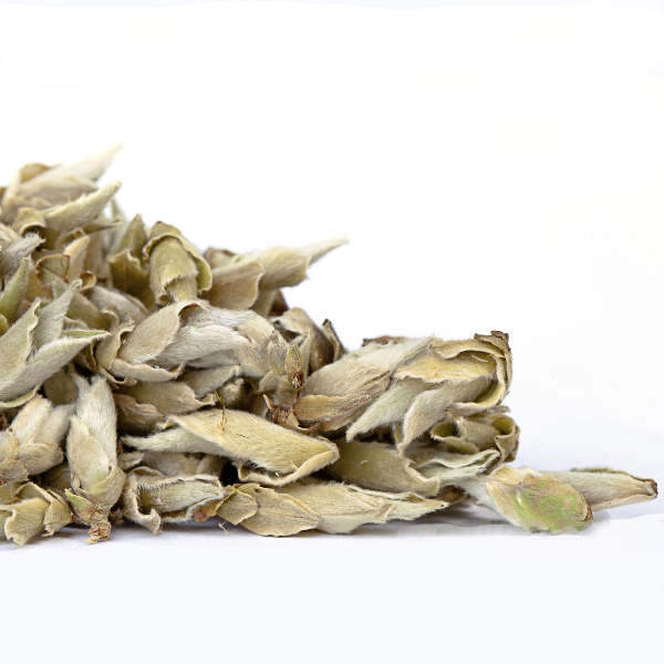 Té Blanco Yunnan Silver Bud Ya Bao